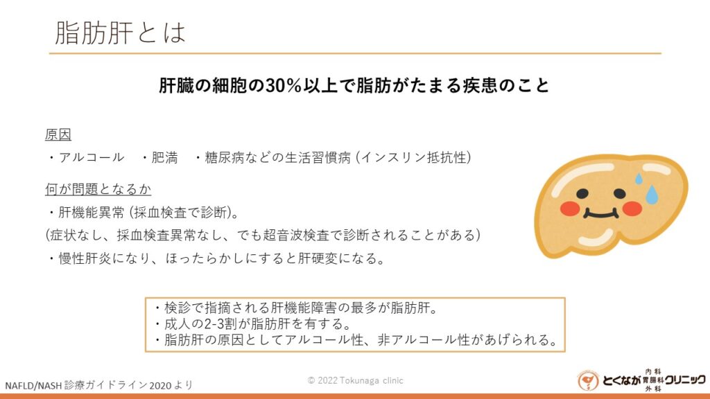 脂肪肝 のイメージ画像